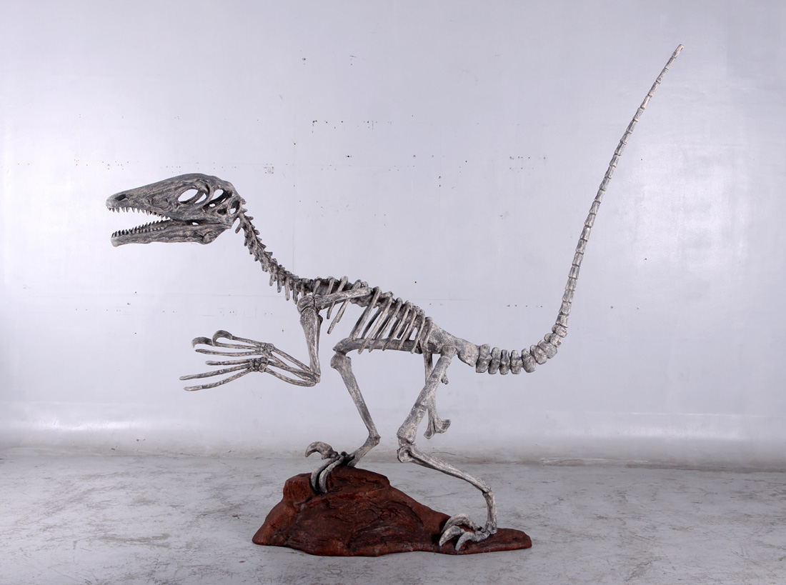 140026 Deinonychus Skeleton