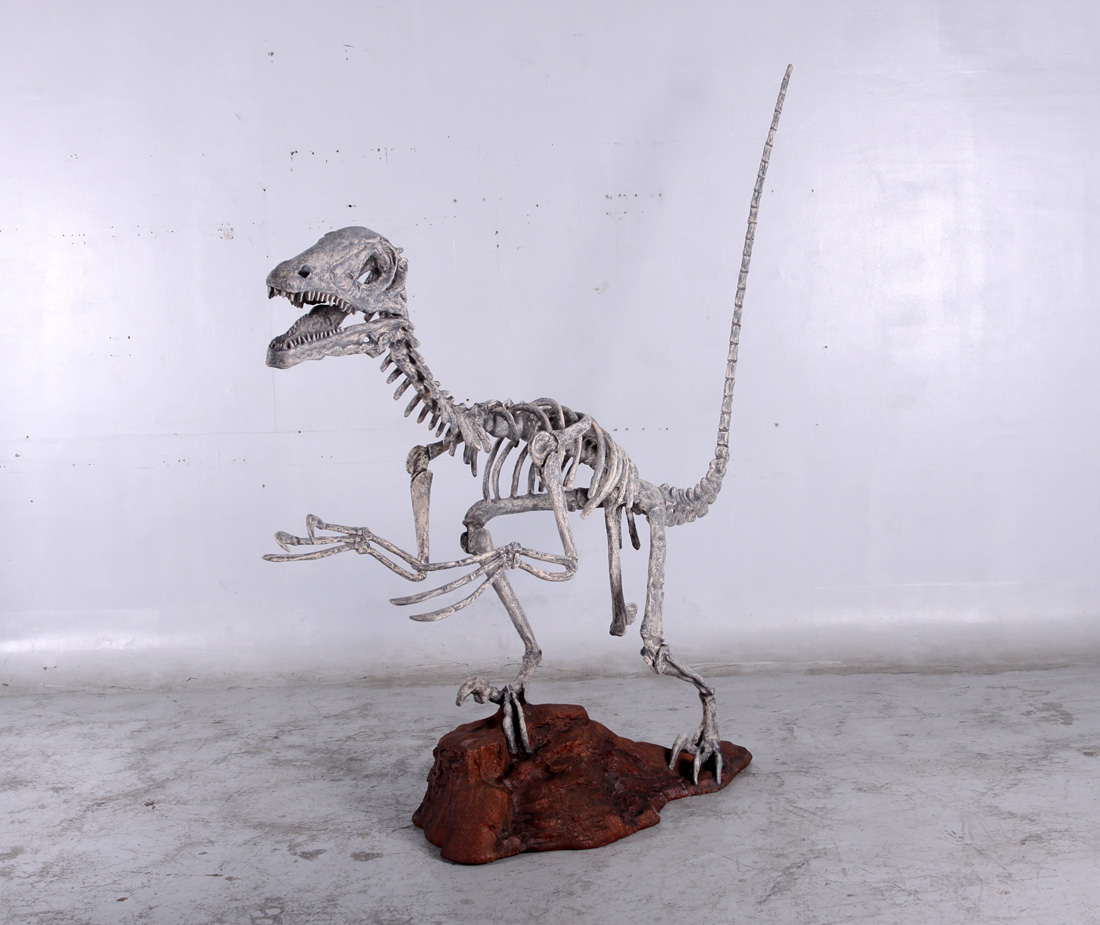 140026 Deinonychus Skeleton
