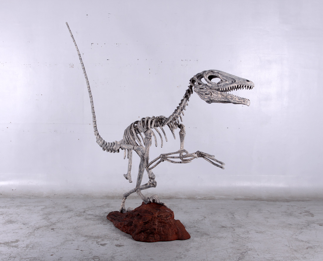 140026 Deinonychus Skeleton