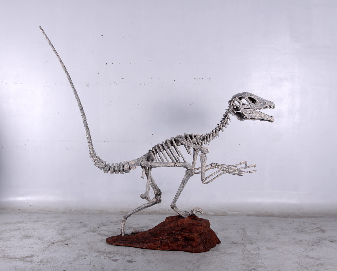 140026 Deinonychus Skeleton